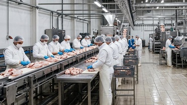 Tavuk firmalarına denetim kayyumu atanmasıyla ilgili başsavcılıktan açıklama
