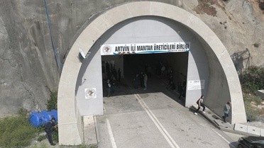 Artvin'de Kullanılmayan Tünel Mantar Üretim Merkezi Oldu