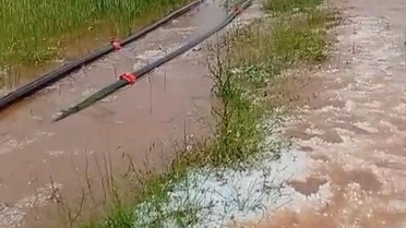 Afyonkarahisar'da Dolu Yağışı Tarımı Vurdu
