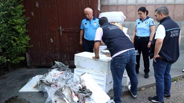 Antalya Otogarı'nda balık operasyonu: 260 kilo ele geçirildi