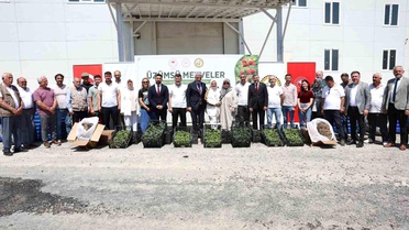 Düzce'de Çiftçilere Fide ve Sulama Sistemi Desteği