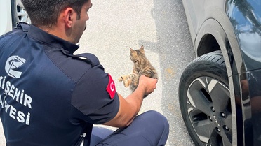 Kedi Yavrusu Motor Bölgesinden Kurtarıldı