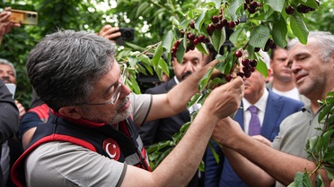 Tarım Destekleri 2026'da Güncellenecek
