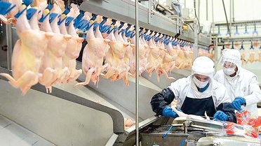 Beyaz et soruşturmasında gözaltına alınan 29 şüpheliye adli kontrol