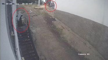 Diyarbakır'da Engelli Kadına Kürekle Saldırı