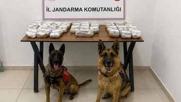 Şemdinli'de 21 Kilo Esrar Ele Geçirildi