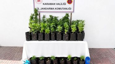 Karaman'da Kenevir Operasyonu