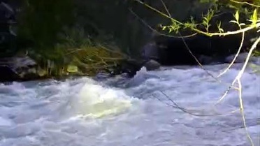 Bingöl'de Nehre Düşen Kişi İçin Arama Çalışmaları Başladı
