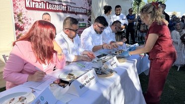 Tekirdağ'da Kiraz Festivali Yarışması