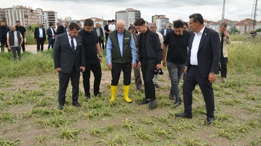 Kahramankazan'da Doludan Zarar Gören Tarım Arazileri İncelendi