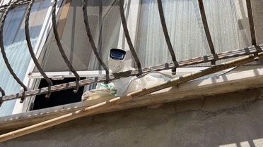 Karga yumurtaları çaldı