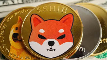 ABD'nin ilk Shiba Inu erişimli ETF'si onaylandı