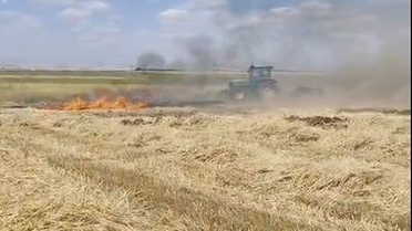 Kızıltepe'de Anız Yangını: TIR Alevlere Yenik Düştü