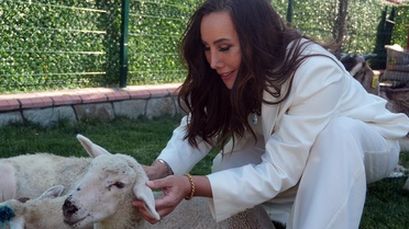 Asena, 'ağabeyim' dediği insanla aşk yaşamaya başladı