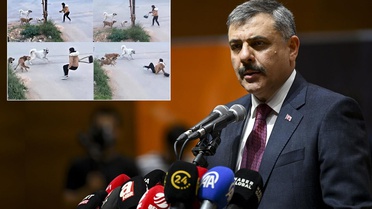 Bakan Çiftçi, yılbaşına kadar süre istedi: Sokak köpeklerinin hepsini barınaklara toplatacağım