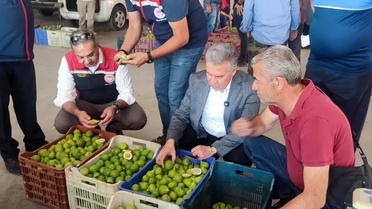 Buharkent'te ilekler, tezgahta incelendi