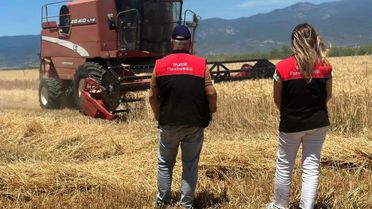 Buğday Hasadı Edremit'te Başladı
