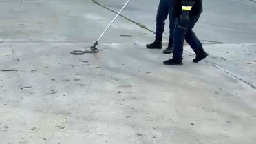 Tosya'da Fabrikada Yılan Paniği
