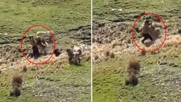 Görüntü Türkiye'den! Kamera dehşet anlarının her saniyesini kaydetti