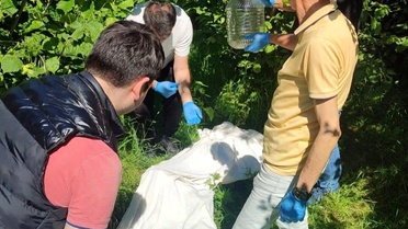 Kahverengi Kokarca ile Biyolojik Mücadele: Samuray Arısı Üretimi
