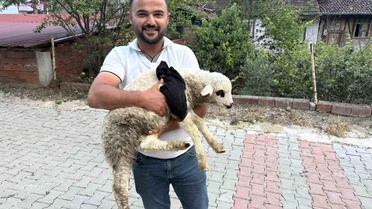 Kuzuya Sağlık Çalışanından Geleneksel Tedavi