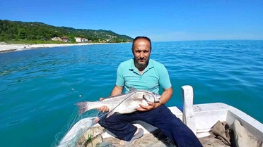 Sinop'ta Nadir Beyaz Kötek Balığı Yakalandı