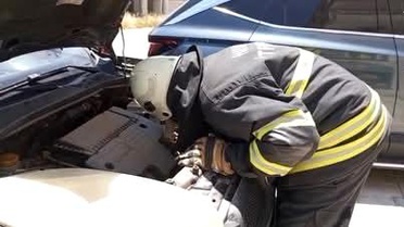 Arsuz'da aracın motor kısmına giren yavru kedi kurtarıldı