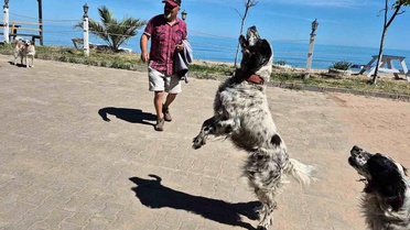 Dronsavar Köpekler Kapısuyu'nda