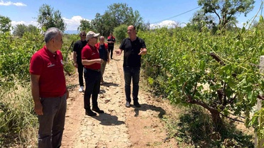 Denizli'de Dolu Zarar Verdi