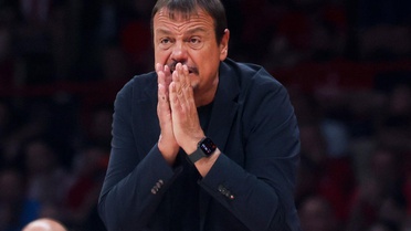 Ergin Ataman'dan Yunan halkına teşekkür mesajı
