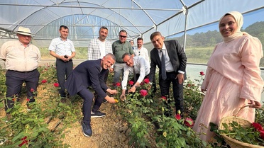 Kadın girişimci hibe desteğiyle Kocaeli'nin ilk gül serasını kurdu