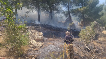 Kahramanmaraş'ta ormanlık alanda çıkan yangın söndürüldü