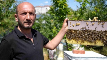 Arılara Fısıldayan Adam: Murat Atalay
