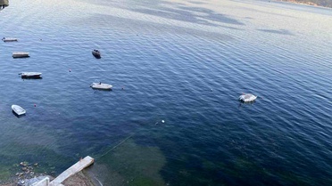 Gemlik Körfezi'nde Deniz Temizlendi