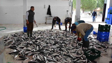 Muğla İhracatta Yüzde 6,5 Artış Sağladı