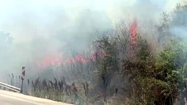 Bursa'da Otluk Alanda Yangın