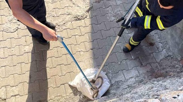 Siirt'te 1 buçuk metrelik yılan evin bahçesinden çıktı