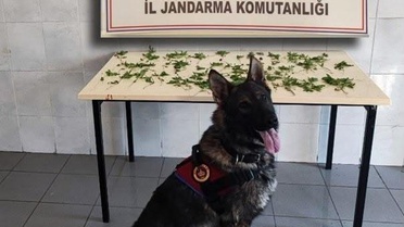 Bolu'da Uyuşturucu ve Kaçakçılık Operasyonları: 7 Şüpheli Yakalandı