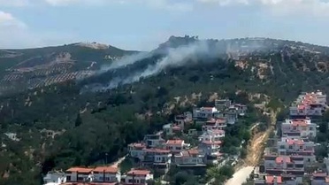 Burhaniye'deki zeytinlik yangını kontrol altına alındı
