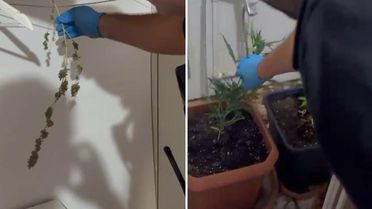Çok özel görüntüler! Baro başkanı ve 12 avukatın evlerinden çıkanlar şoke etti