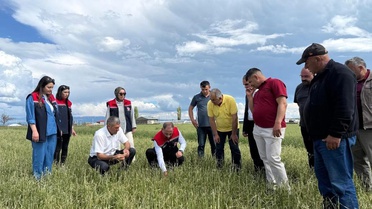 Kars'ta Dolu Tarım Arazilerine Zarar Verdi