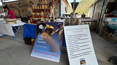 Gökova Susamı'na Coğrafi İşaret Tescili