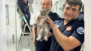 Havalandırma boşluğunda mahsur kalan kediyi itfaiye kurtarıldı