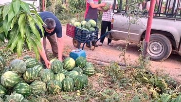 Gazipaşalı çiftçiden öğrencilere 10 ton karpuz bağışı