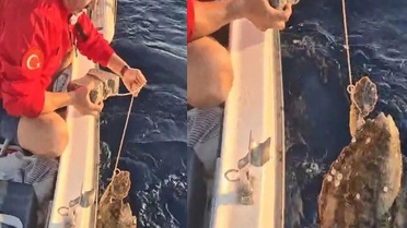 Kuşadası'nda Caretta Caretta Kaldırım Taşından Kurtarıldı