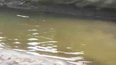 Rize'de Şiddetli Yağış Alabalık Tesisine Zarar Verdi