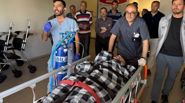 Suşehri'nde Ayı Saldırısı: Çoban Yaralandı