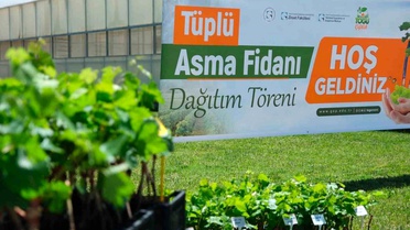 TOGÜ'den üreticiye bağcılık desteği