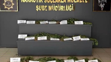 Diyarbakır'da Kenevir Operasyonu
