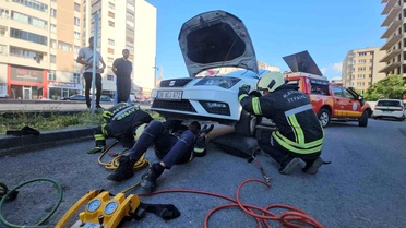 Kayseri'de Araçtan Yılan Sarktı